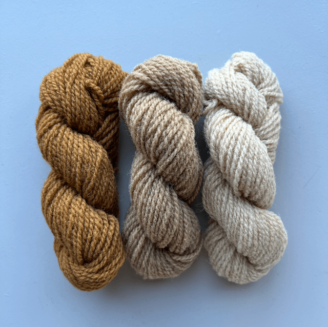Mini skein set