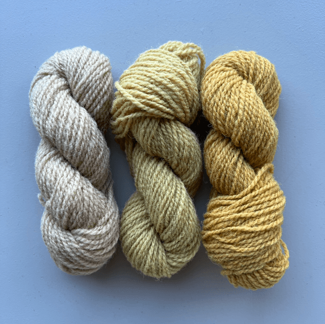Mini skein set