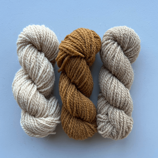 Mini skein set