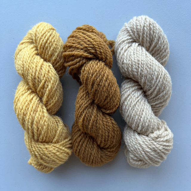 Mini skein set