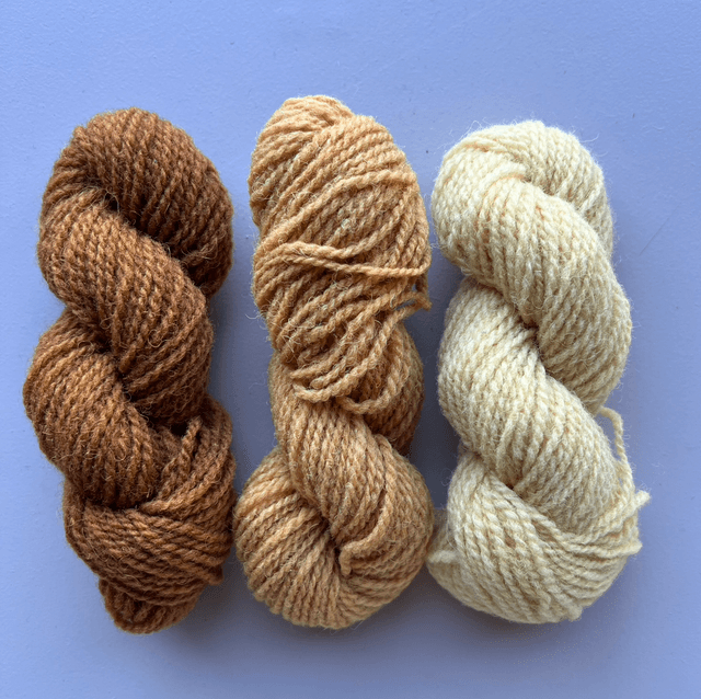 Mini skein set