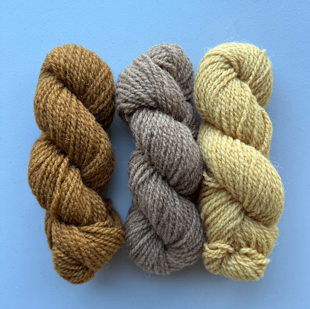 Mini skein set